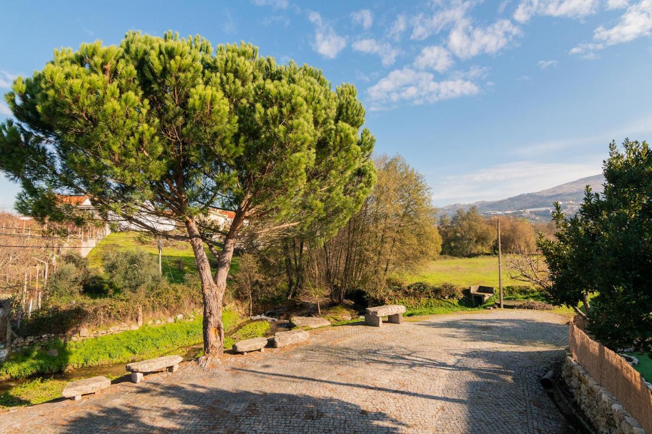 Casa Do Loureiro 1 - Seia - Serra Da Estrela Eksteriør billede